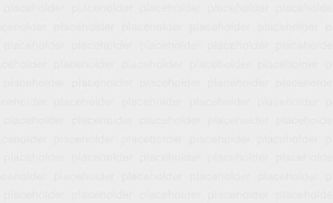 placeholder1